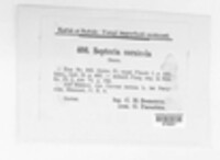 Image Associated With the Occurence